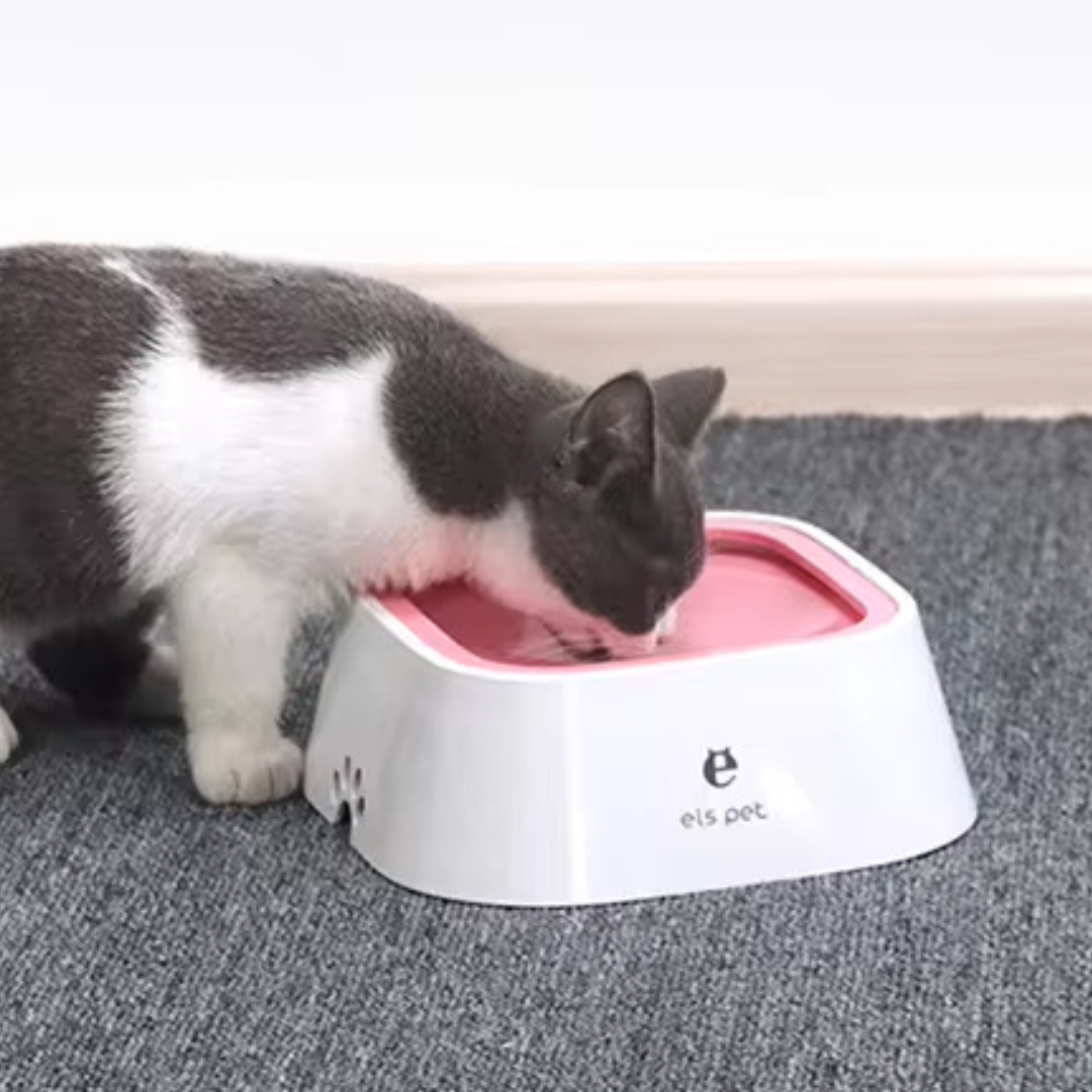 Ciotola anti goccia di grande prestigio ELS PET