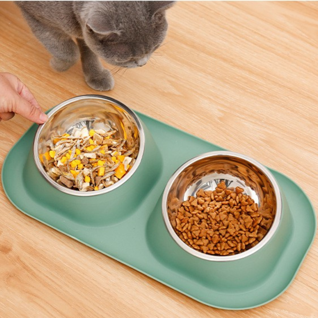 Ciotola per gatti inclinata 15° con vassoio di recupero