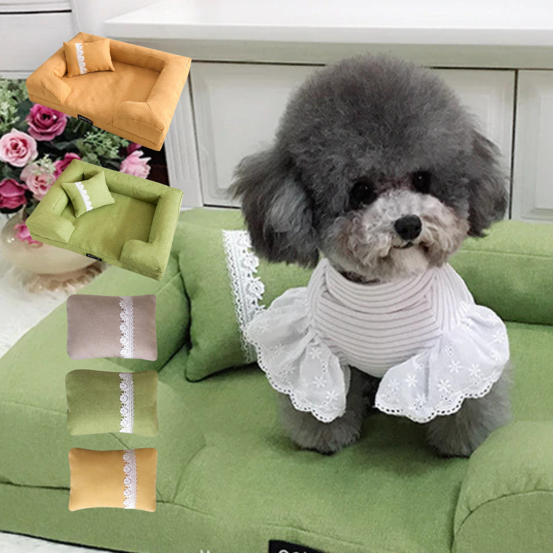 Divano / Letto per cani e gatti