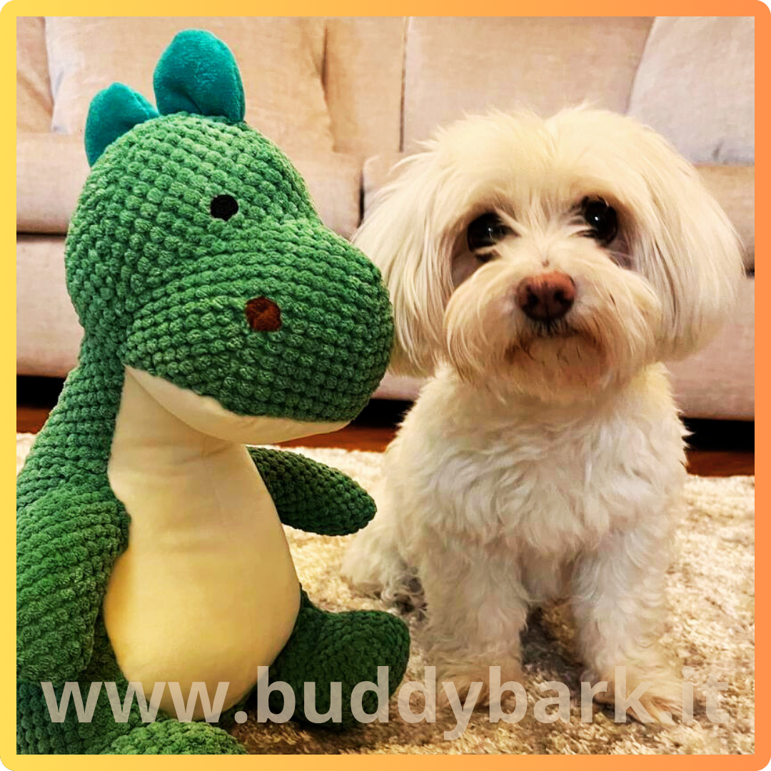 Dino - Il dinosauro resistente e rilassante