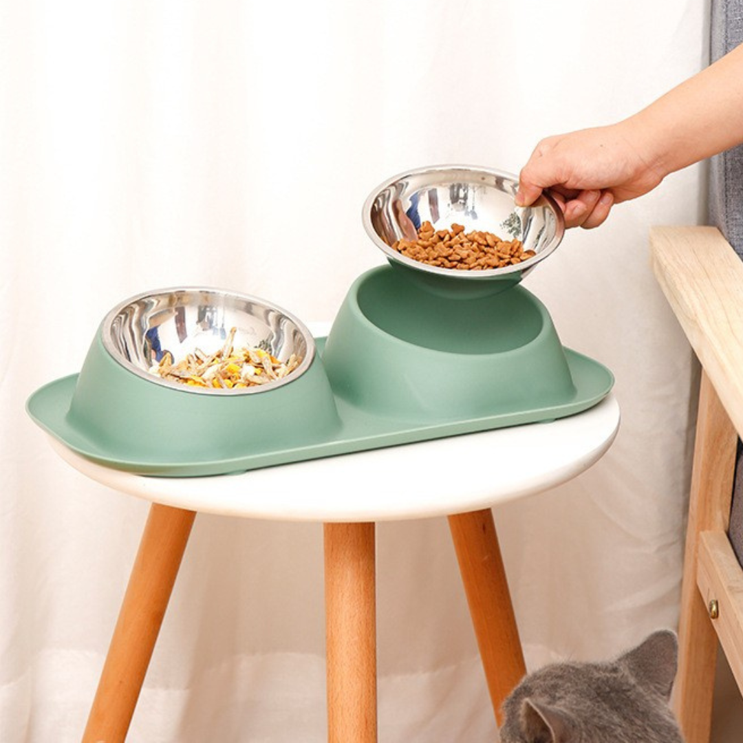 Ciotola per gatti inclinata 15° con vassoio di recupero