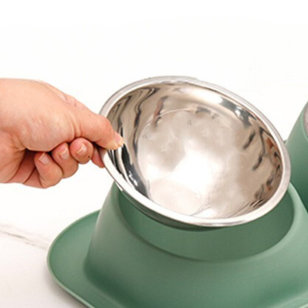 Ciotola per gatti inclinata 15° con vassoio di recupero