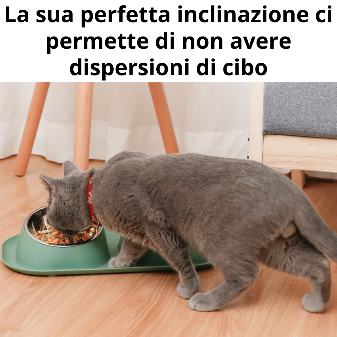 Ciotola per gatti inclinata 15° con vassoio di recupero