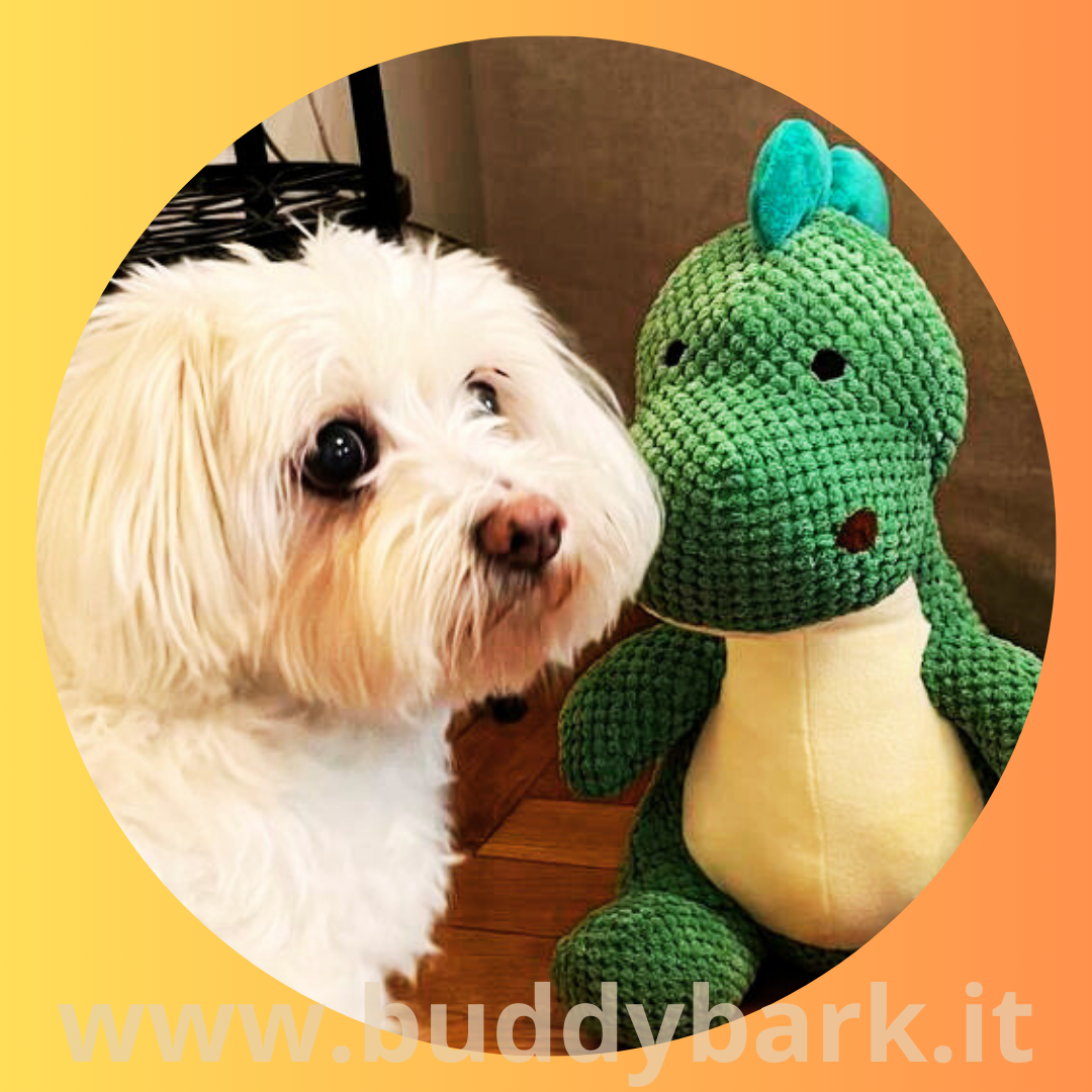 Dino - Il dinosauro resistente e rilassante